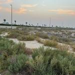 Freehold Plot | Build Your Dream Villa | Jebel Ali Hills