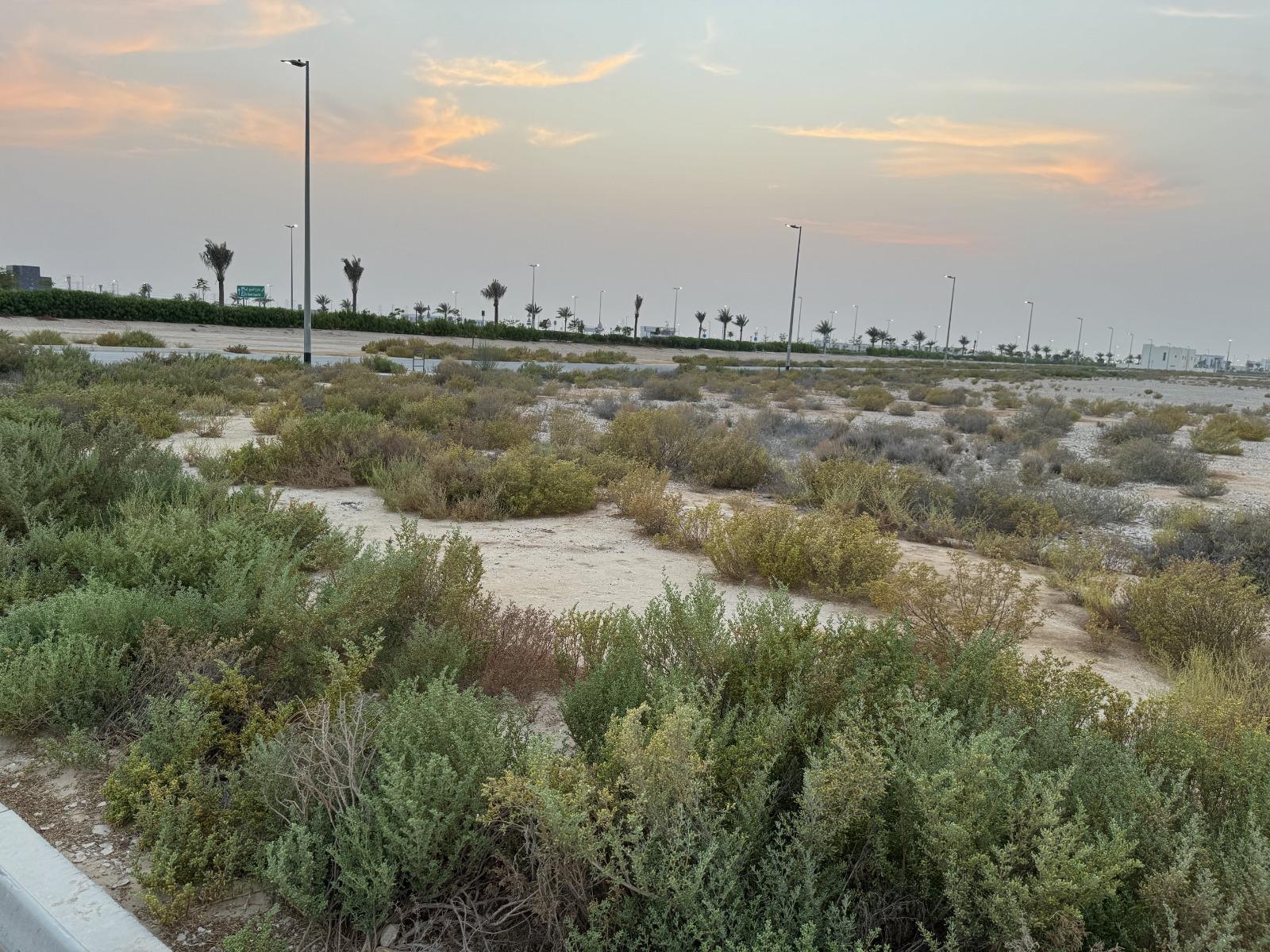 Freehold Plot | Build Your Dream Villa | Jebel Ali Hills